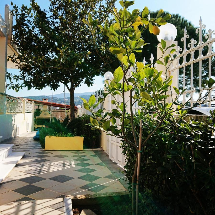 Villa Filoxenia All Seasons, Near Airport, Sea, Athens Agia Marina  Esterno foto