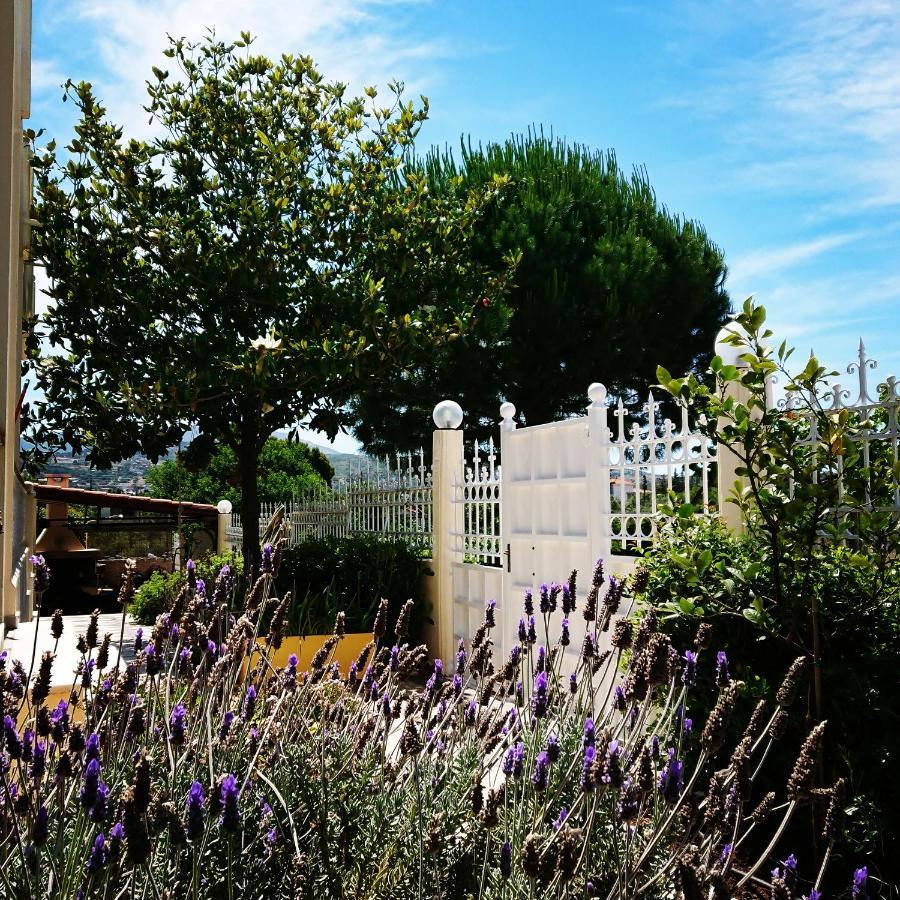 Villa Filoxenia All Seasons, Near Airport, Sea, Athens Agia Marina  Esterno foto