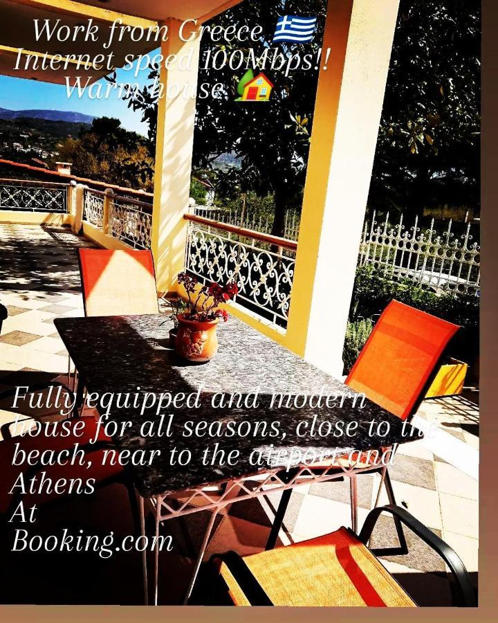 Villa Filoxenia All Seasons, Near Airport, Sea, Athens Agia Marina  Esterno foto