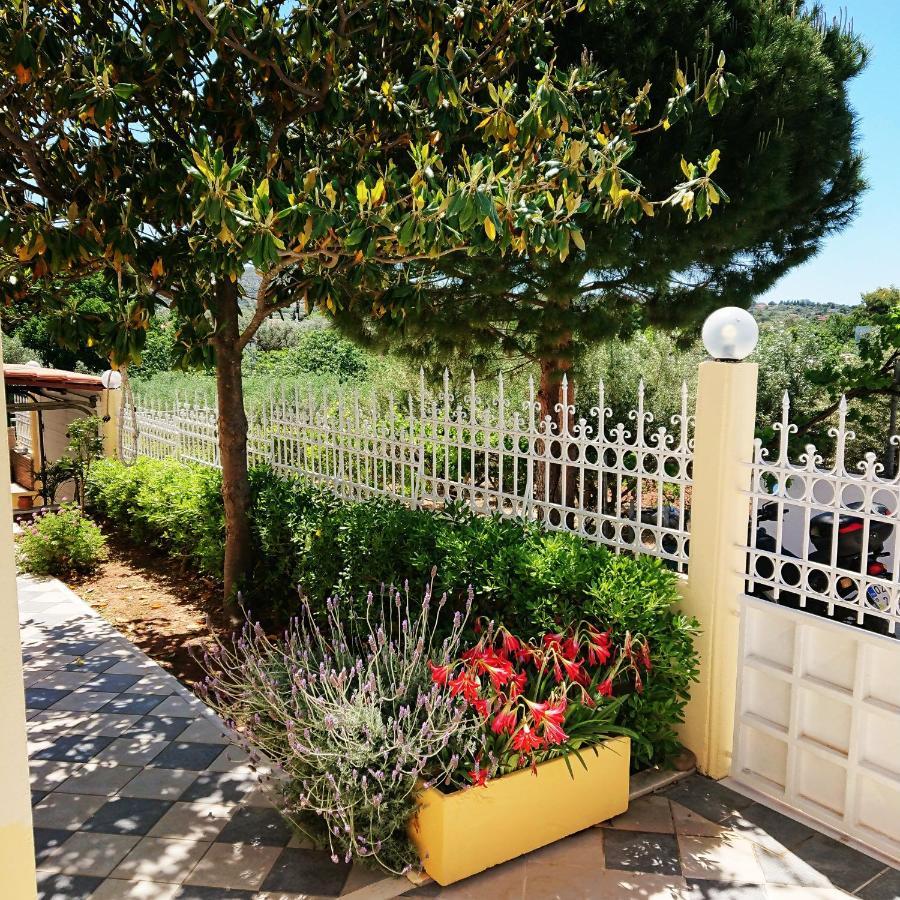 Villa Filoxenia All Seasons, Near Airport, Sea, Athens Agia Marina  Esterno foto