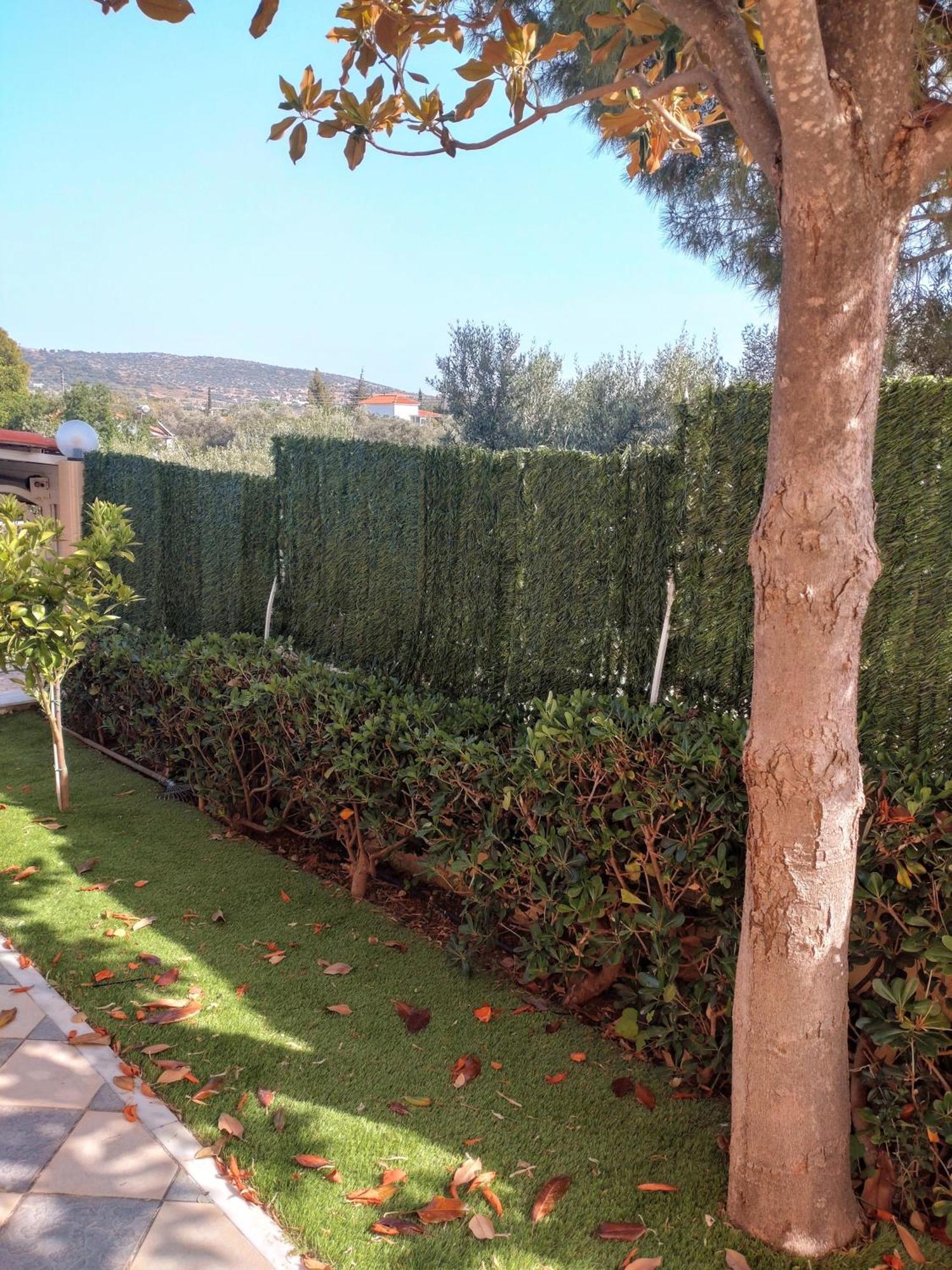 Villa Filoxenia All Seasons, Near Airport, Sea, Athens Agia Marina  Esterno foto