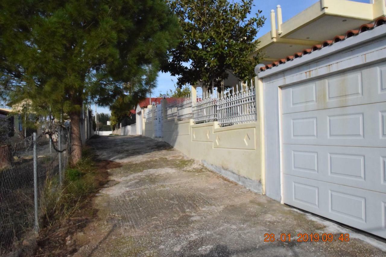Villa Filoxenia All Seasons, Near Airport, Sea, Athens Agia Marina  Esterno foto