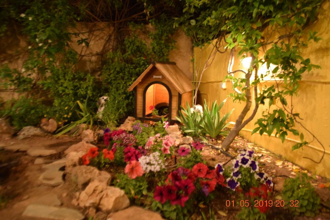 Villa Filoxenia All Seasons, Near Airport, Sea, Athens Agia Marina  Esterno foto