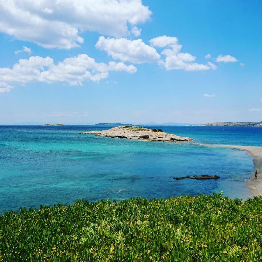 Villa Filoxenia All Seasons, Near Airport, Sea, Athens Agia Marina  Esterno foto