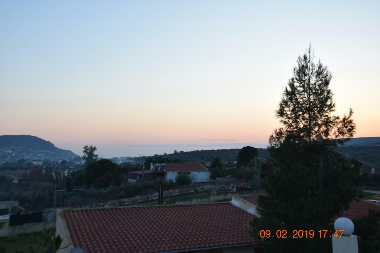 Villa Filoxenia All Seasons, Near Airport, Sea, Athens Agia Marina  Esterno foto
