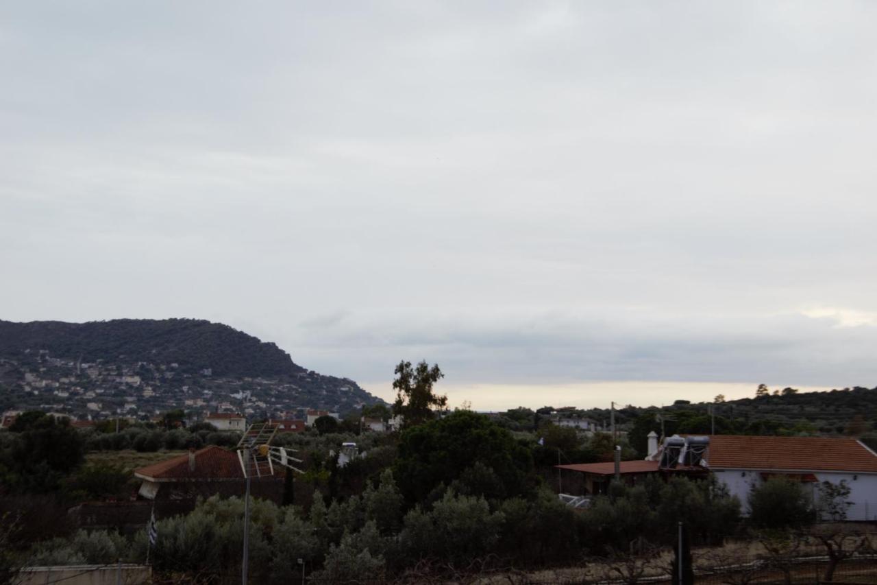 Villa Filoxenia All Seasons, Near Airport, Sea, Athens Agia Marina  Esterno foto
